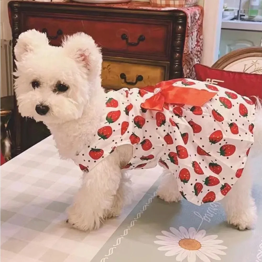 Cute Pretty Strawberry Print Lightweight Princess Dog Pet Dress